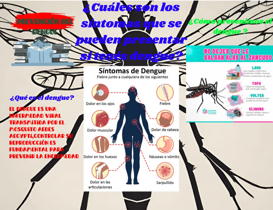 imagen Estudiantes del Área de Biología del DAD Realizan Campañas de Prevención contra el Dengue