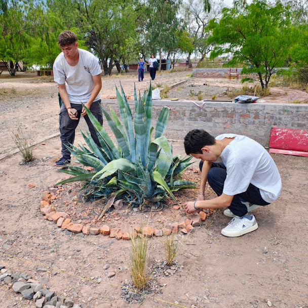 imagen Jardines xerófilos en el DAD