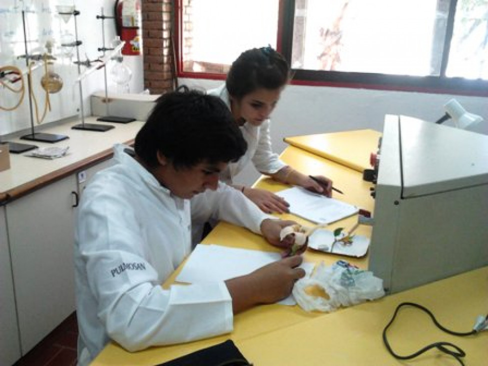 imagen Trabajando en el laboratorio de ciencias. Más fotos.