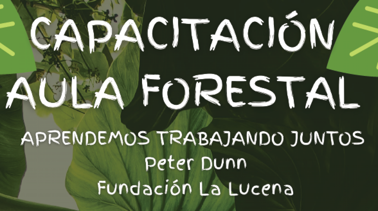 imagen Capacitación "Aula forestal" para docentes del DAD