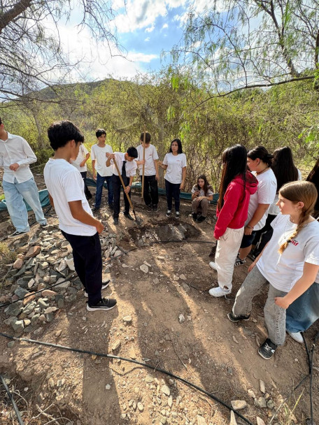 imagen Proyecto de Investigación en Ciencias Naturales. Compostaje doméstico.