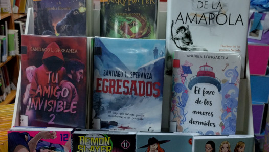 imagen IV Encuentro Interamericano de Bibliotecarios, de Información y Alfabetización y compra feria del libro Mendoza 2026