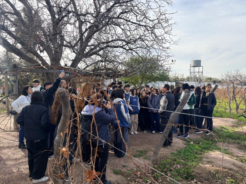 imagen Aprender Ecología y Biodiversidad con los pies en la Tierra" : Estudiantes de 5to Año visitaron la Olívicola Laur y Bodega Familia Cecchin