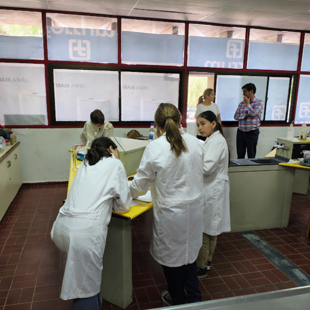 imagen Se realizó en el DAD la instancia provincial de las OACJr