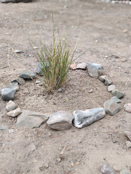 imagen Jardines xerófilos en el DAD