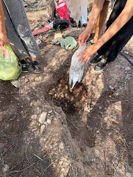 imagen Proyecto de Investigación en Ciencias Naturales. Compostaje doméstico.