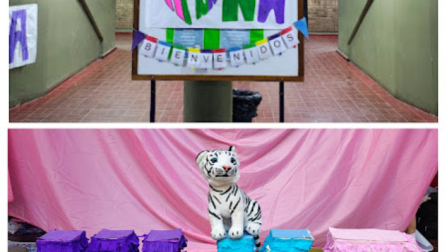 imagen Dos días de campaña de las listas para las elecciones del CEDAD 2026