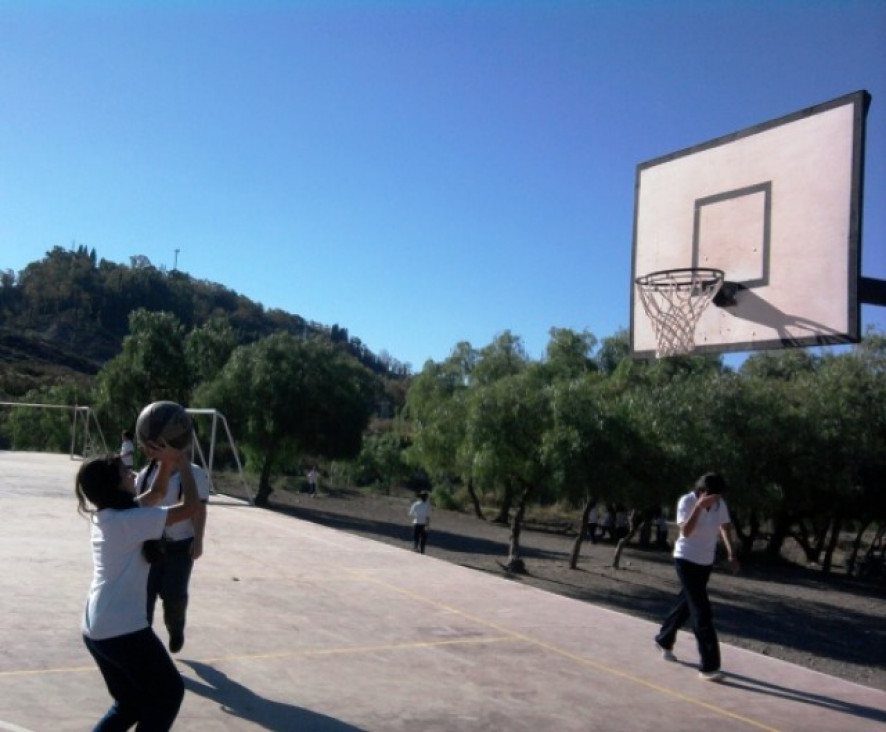 imagen Básquetbol y Vóleibol en el D.A.D.