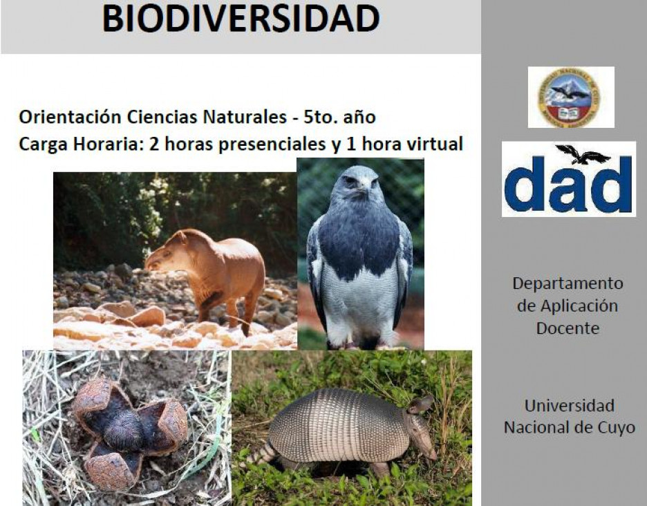 imagen Archivo de descarga de Ciencias Naturales