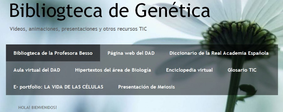 imagen Blog de Genética Profesora Nora Besso