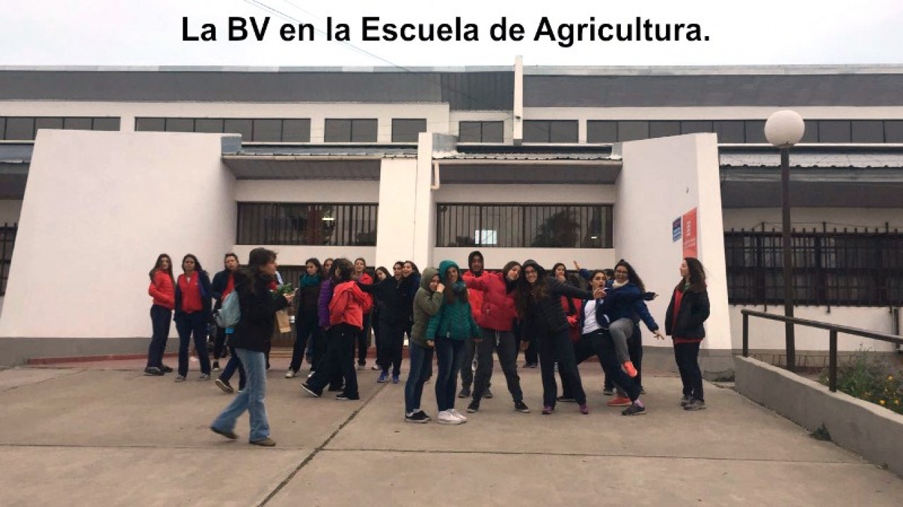 imagen El DAD hace un buen papel. LA BRIGADA VERDE EN GENERAL ALVEAR