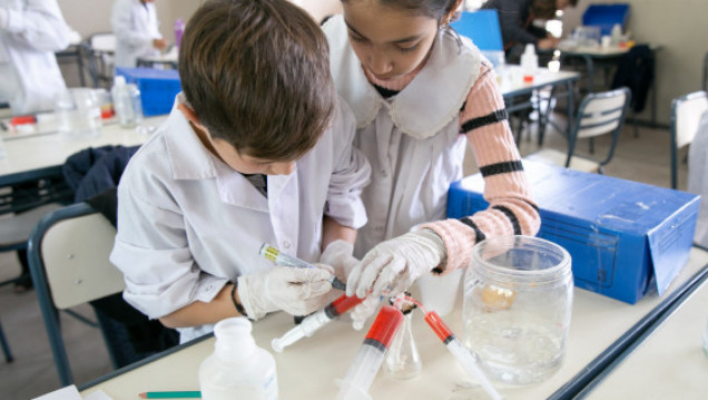 imagen Ya se encuentran abiertas las inscripciones para las Olimpíadas de Ciencias Junior 2025