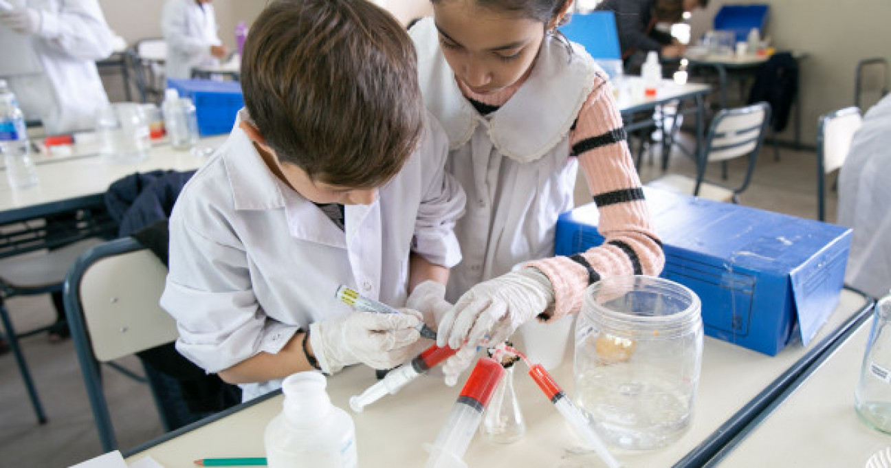 imagen Ya se encuentran abiertas las inscripciones para las Olimpíadas de Ciencias Junior 2025
