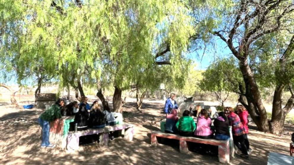 imagen Aulas Forestales