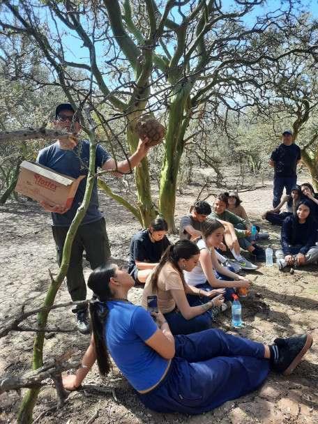 imagen Estudiantes de 5º año realizaron una visita a la Reserva Natural y Cultural Bosques Telteca y a Los Altos Limpios