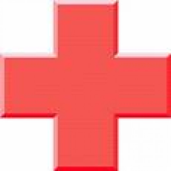 imagen Curso Cruz Roja