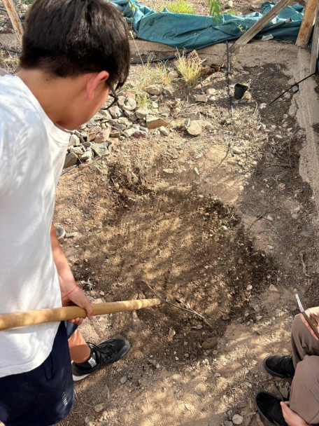 imagen Proyecto de Investigación en Ciencias Naturales. Compostaje doméstico.