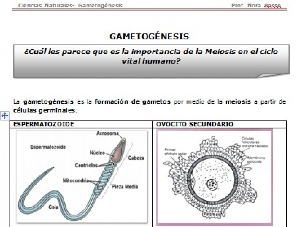 imagen Documento de descarga de Cs Naturales