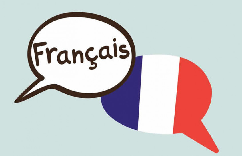 imagen Presentación de tarea final en Francés