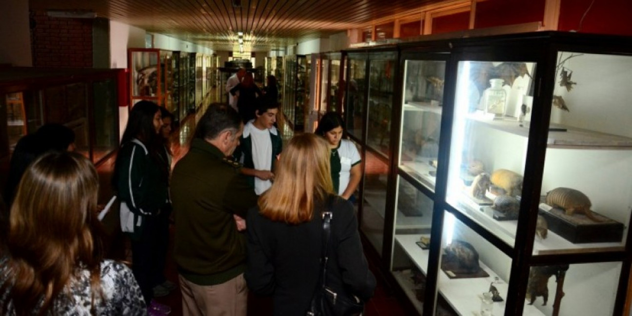 imagen Semana de los museos. La Universidad abrirá las puertas de sus museos