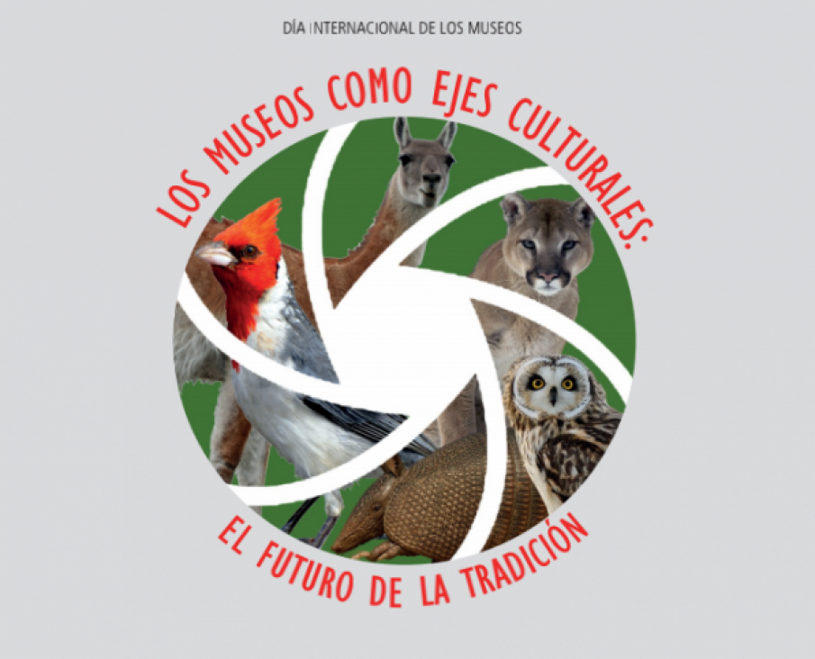 imagen CONCURSO- Intervención en el Museo José Lorca. Qué ves cuándo me ves: Zoología cotidiana