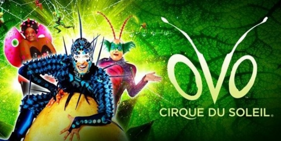 imagen El Cirque du Soleil invita a la comunidad de la UNCUYO a ver "OVO" a precios rebajados