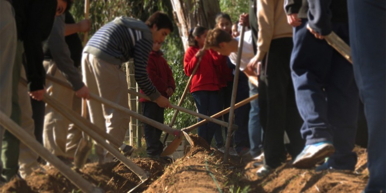 imagen Extienden plazo para recibir proyectos socioeducativos de escuelas universitarias