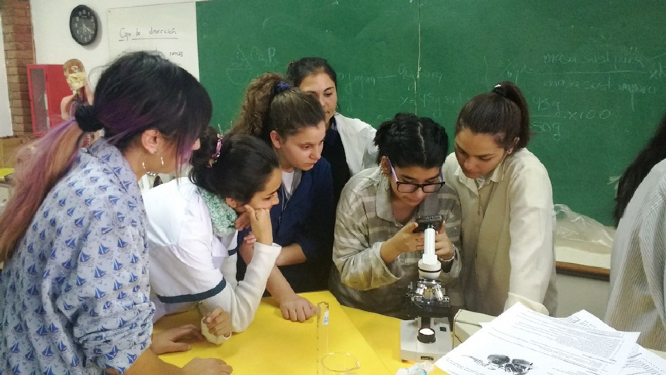 imagen Trabajando en el laboratorio de ciencias