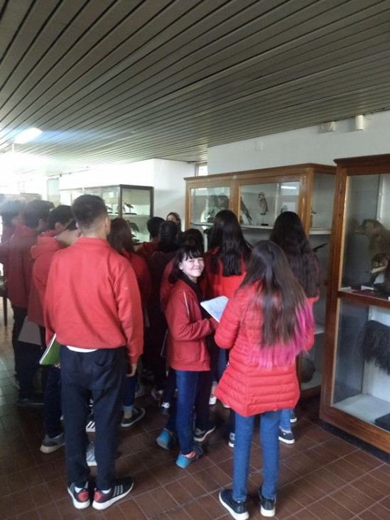 imagen Alumnos del DAD visitaron al Liceo Agrícola Domingo Faustino Sarmiento